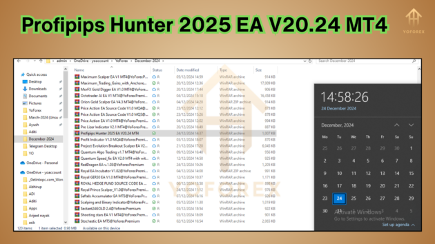 Profipips Hunter 2025 EA V20.24