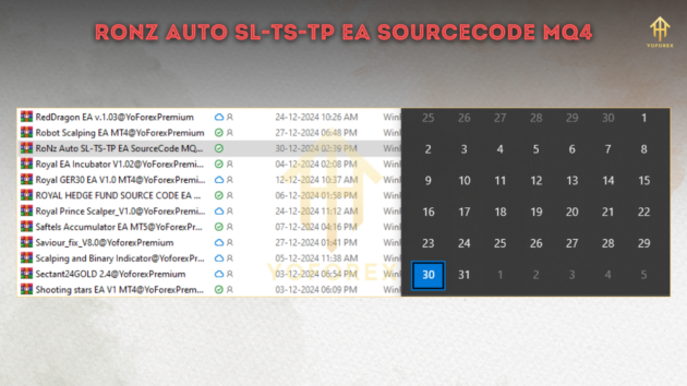 RoNz Auto SL TS TP EA Source V2.06