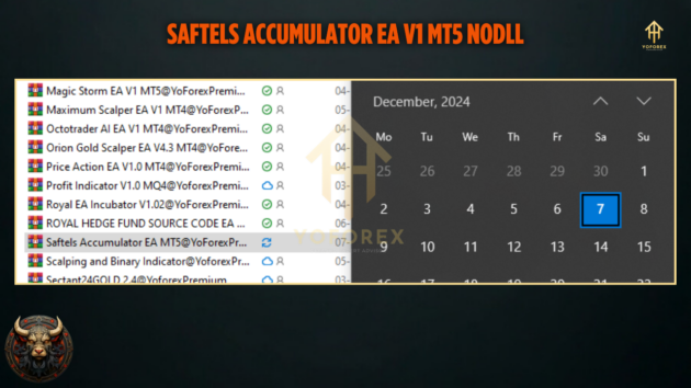 Saftels Accumulator EA V1