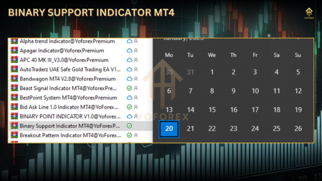 Binary Support Indc