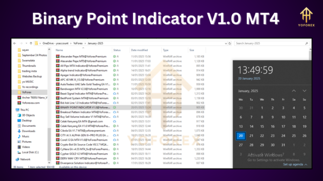 Binary Point Indicator V1.0