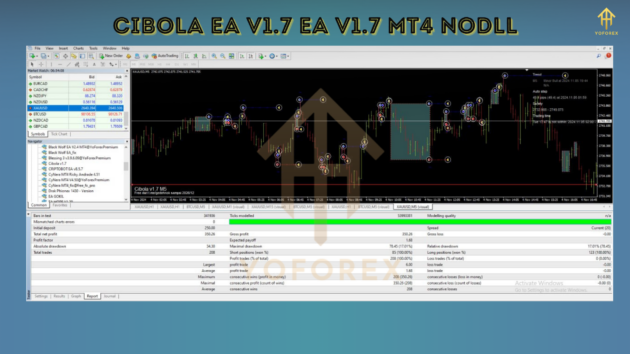 Cibola EA V1.7