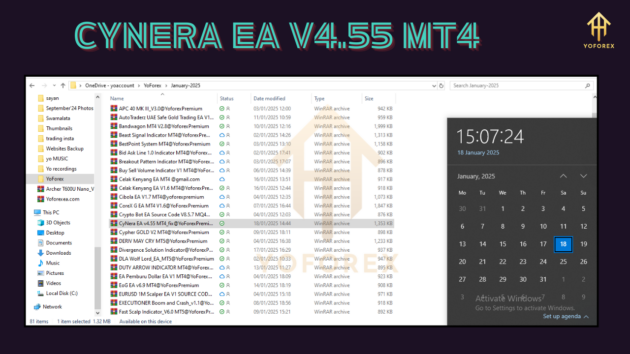 CyNera EA V4.55