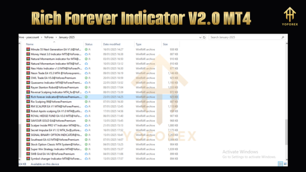 Rich Forever Indicator V2.0