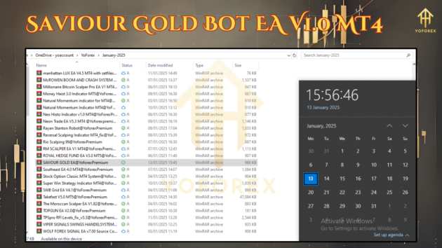 Saviour Gold Bot EA V1.0