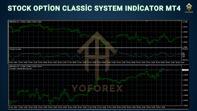 Stock Option Classic System Indc - Image 4