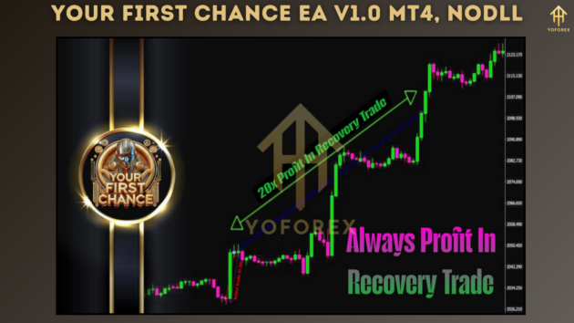 Your First Chance EA V1.0