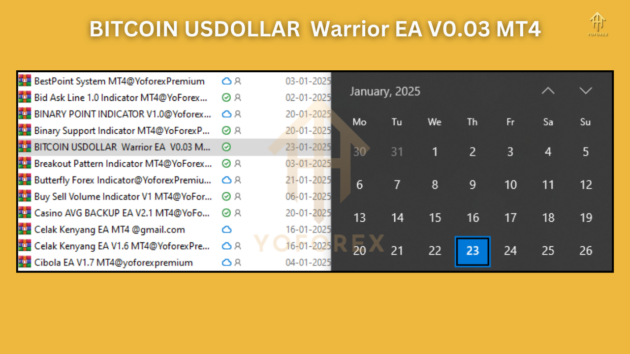 BITCOIN USDOLLAR Warrior EA V0.03