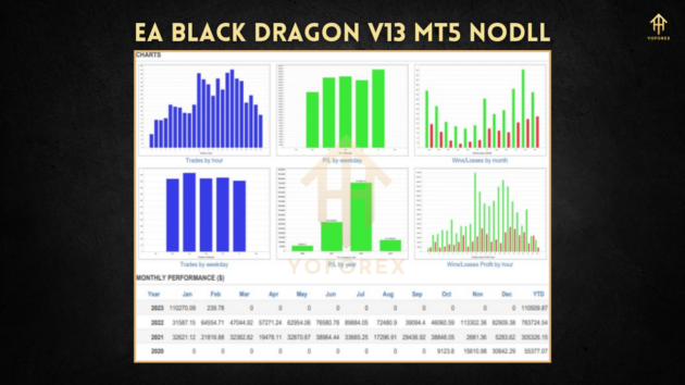 EA Black Dragon V13