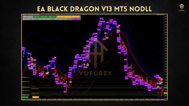 EA Black Dragon V13