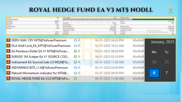 ROYAL HEDGE FUND EA V3